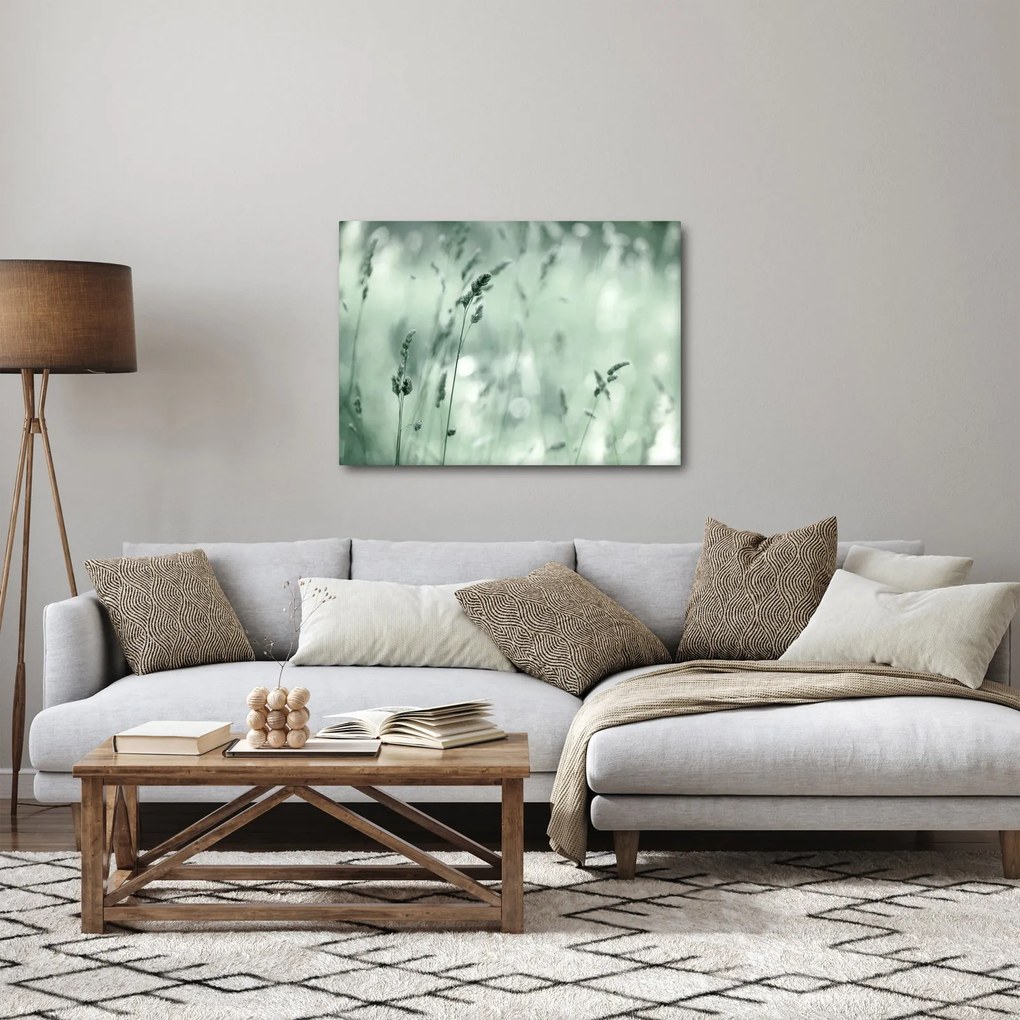 Obraz - Zielona łąka (70x50 cm)