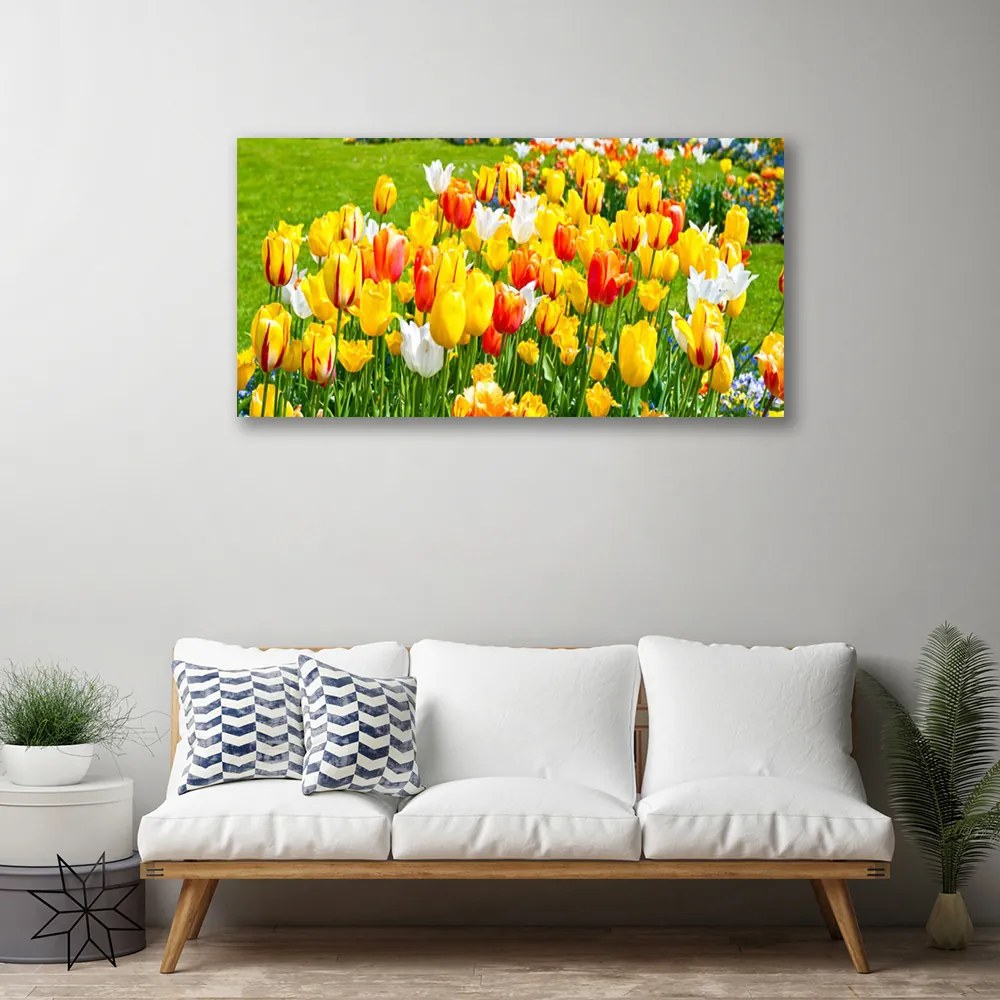 Obraz Canvas Tulipany Kwiaty Natura