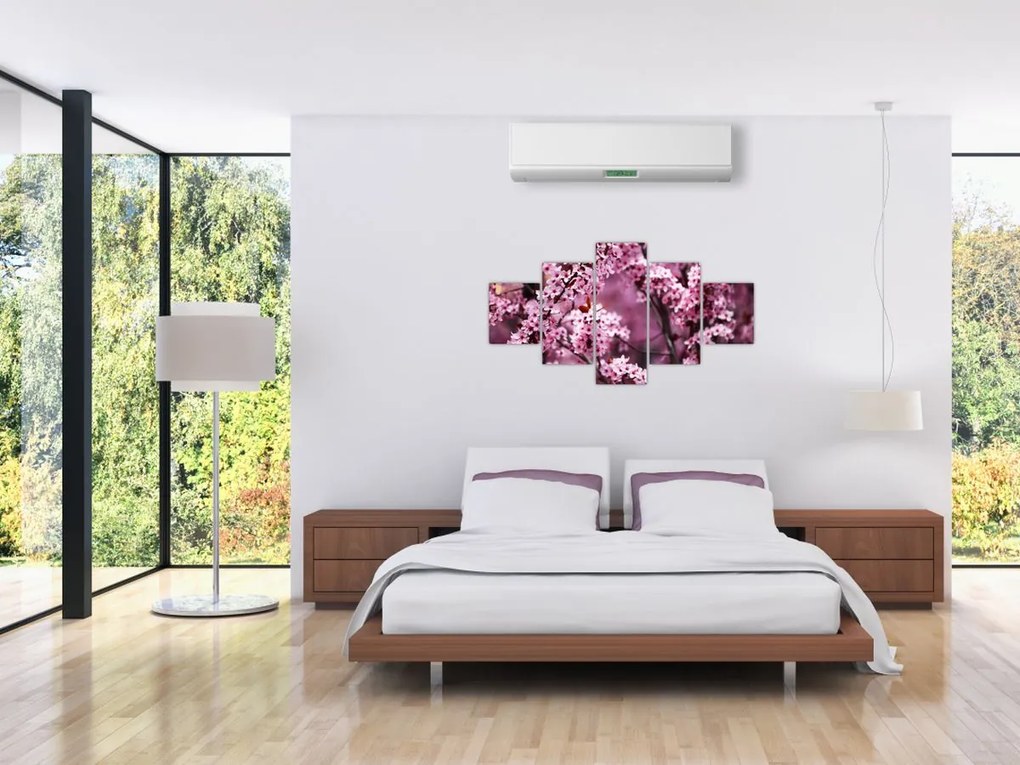 Obraz - Różowa sakura (125x70 cm)