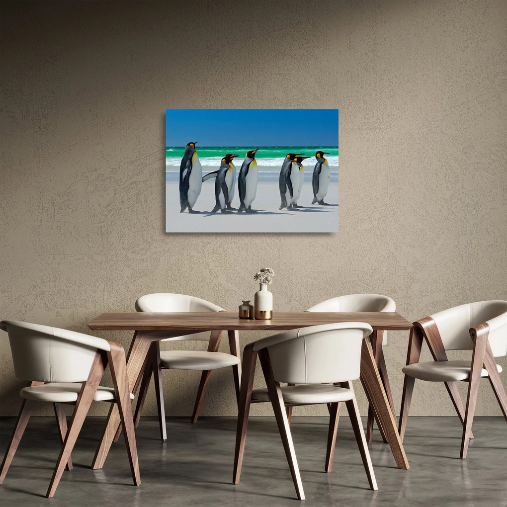Obraz na szkle - Grupa Pingwinów królewskich (70x50 cm)