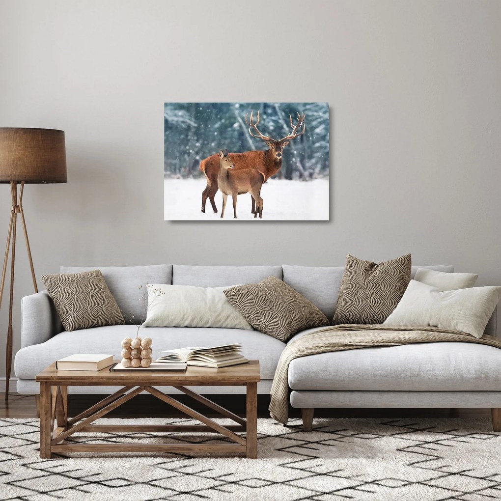 Obraz na szkle Jelenia z łanią (70x50 cm)