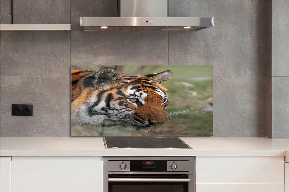 Panel szklany do Kuchni Władca Dżungli w Gęstwinie