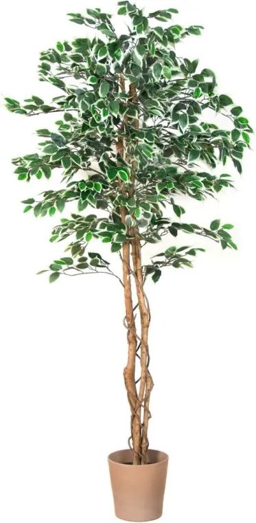Drzewko sztuczne dekoracyjne Fikus 190 cm