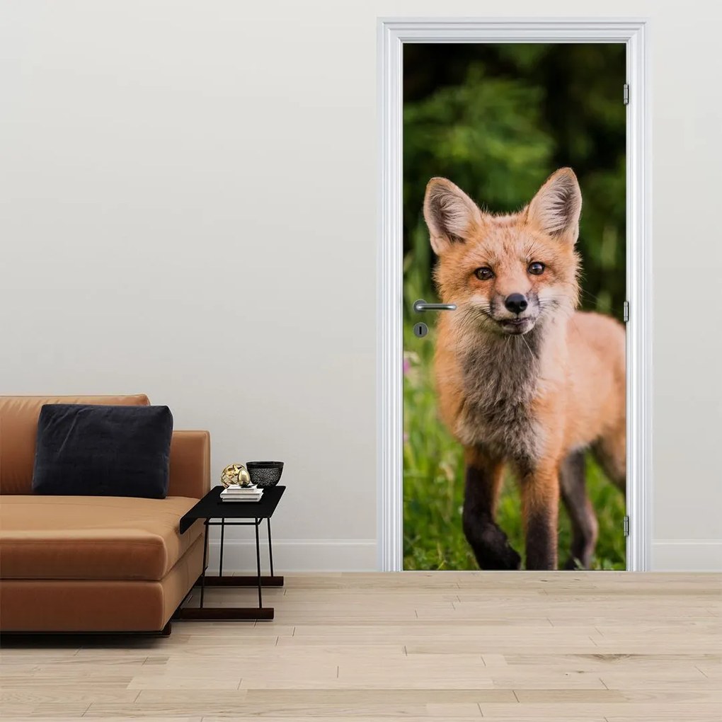 Fototapeta na drzwi - Lis (95x205cm)