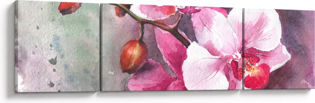 Obraz - Orchidee, akwarela (170x50 cm)