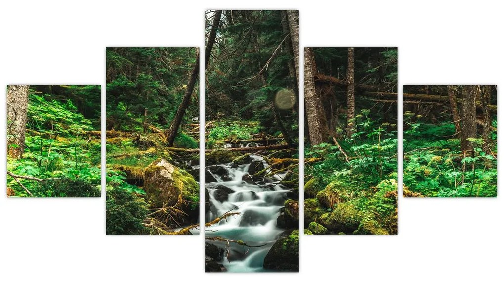 Obraz strumienia w lesie (125x70 cm)
