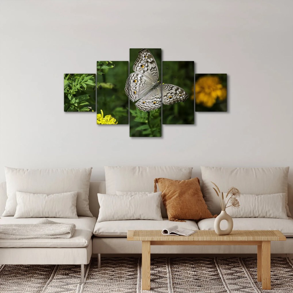 Obraz - biały motyl (125x70 cm)