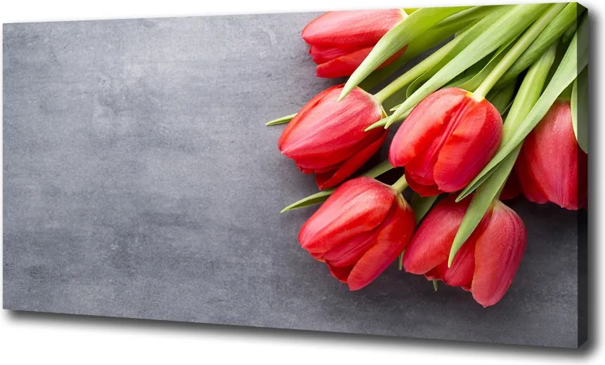 Foto obraz na płótnie Czerwone tulipany