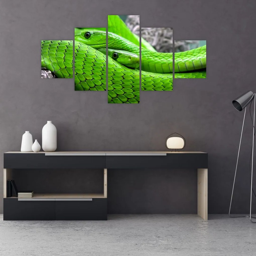 Obraz zielonych węży (125x70 cm)