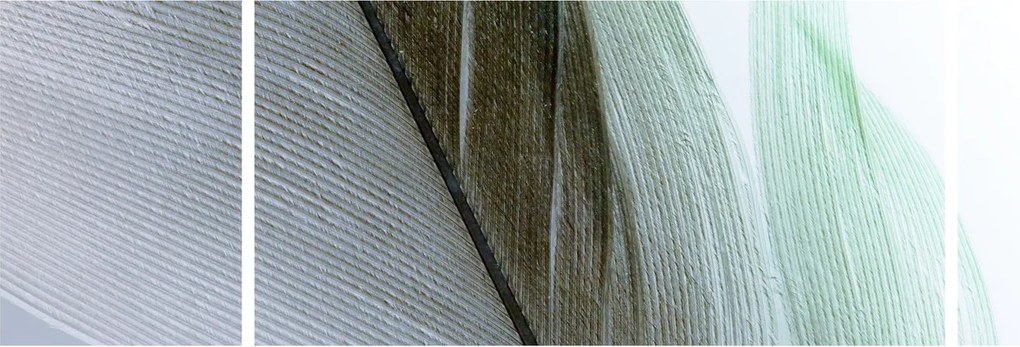 Obraz - Pióra, makro (170x50 cm)