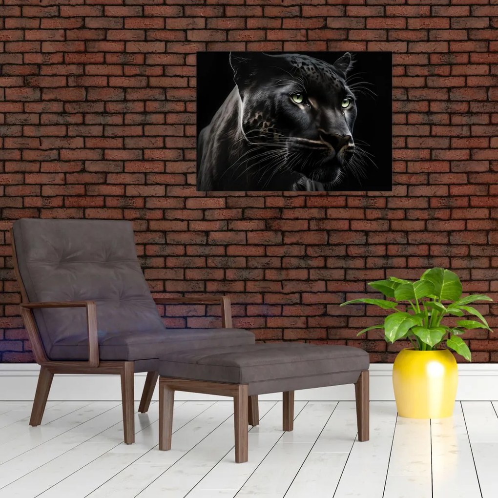 Obraz - Czarna Pantera (70x50 cm)