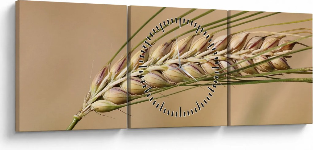 Obraz - Pszenica (z zegarem) (90x30 cm)