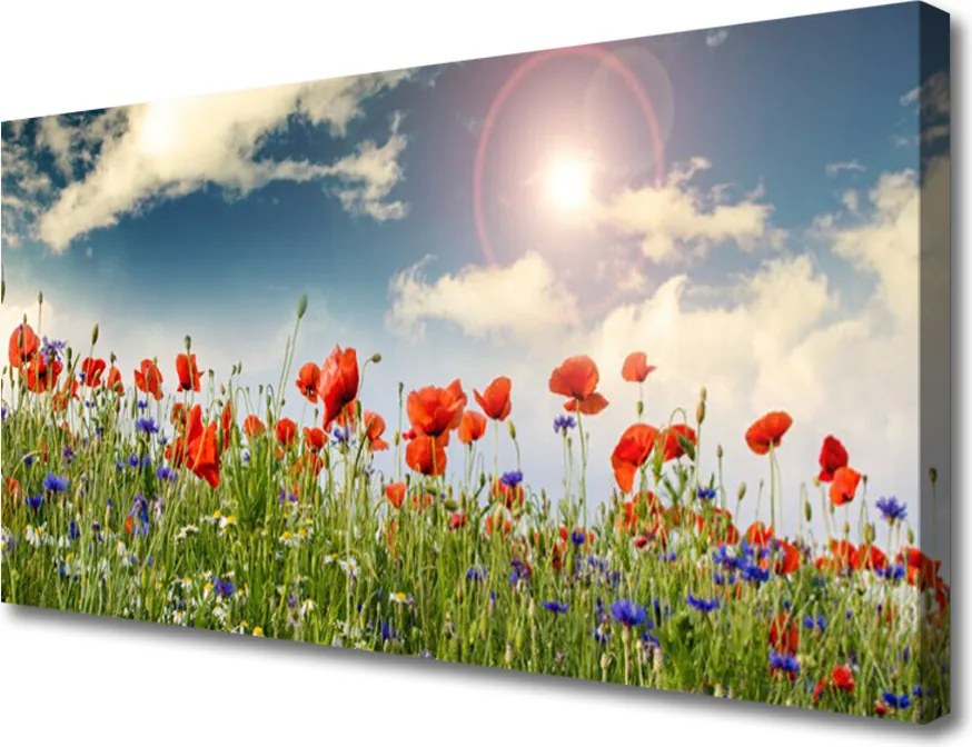 Obraz canvas Letnia Łąka w Blasku Dnia
