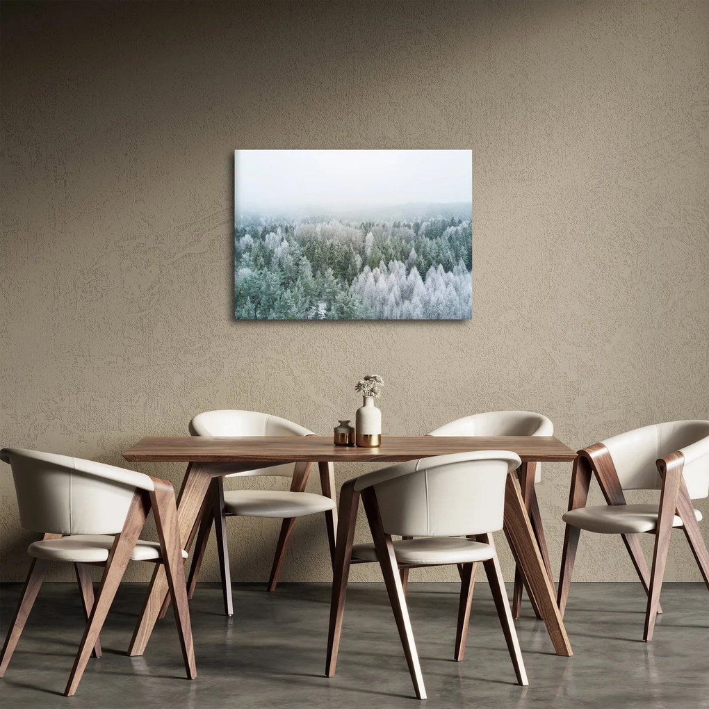 Obraz - Ośnieżone szczyty lasów (70x50 cm)