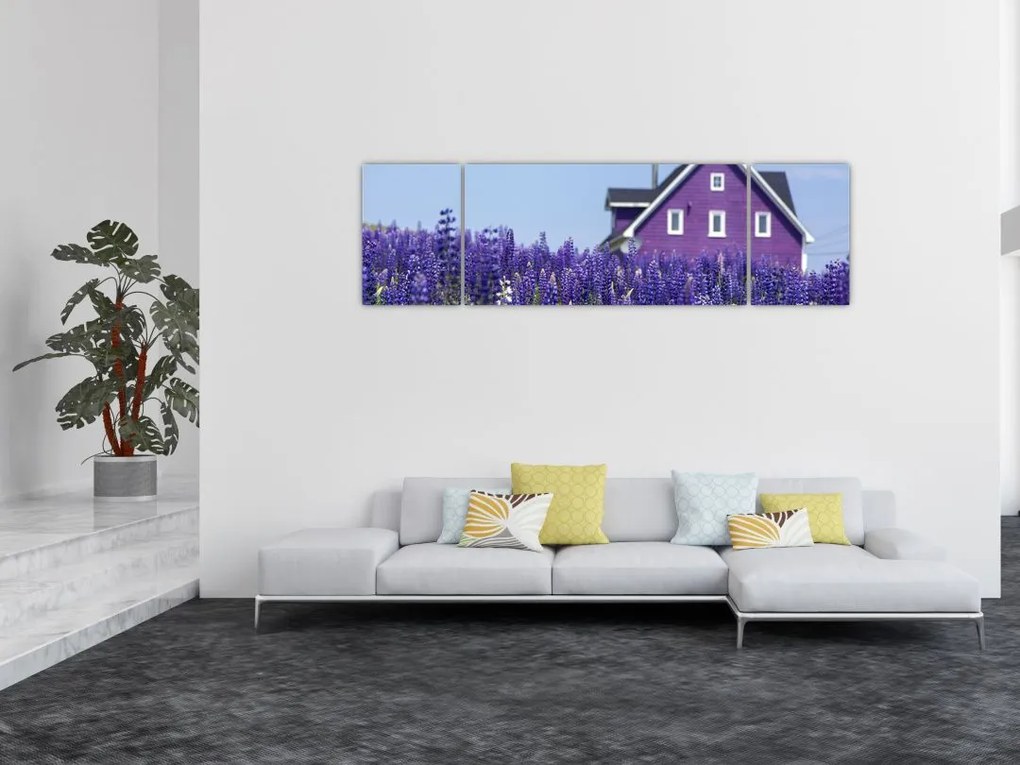 Obraz lawendowego pola (170x50 cm)