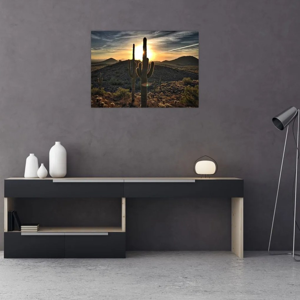 Obraz na szkle - kaktusy w słońcu (70x50 cm)
