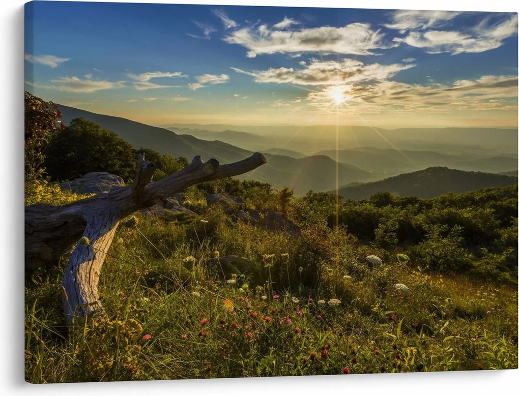 Obraz - Widok na otoczenie (70x50 cm)