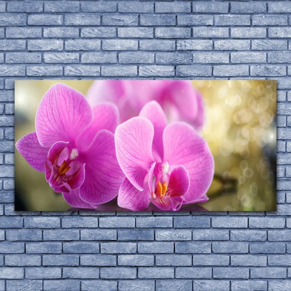 Obraz Canvas Kwiaty Roślina Natura