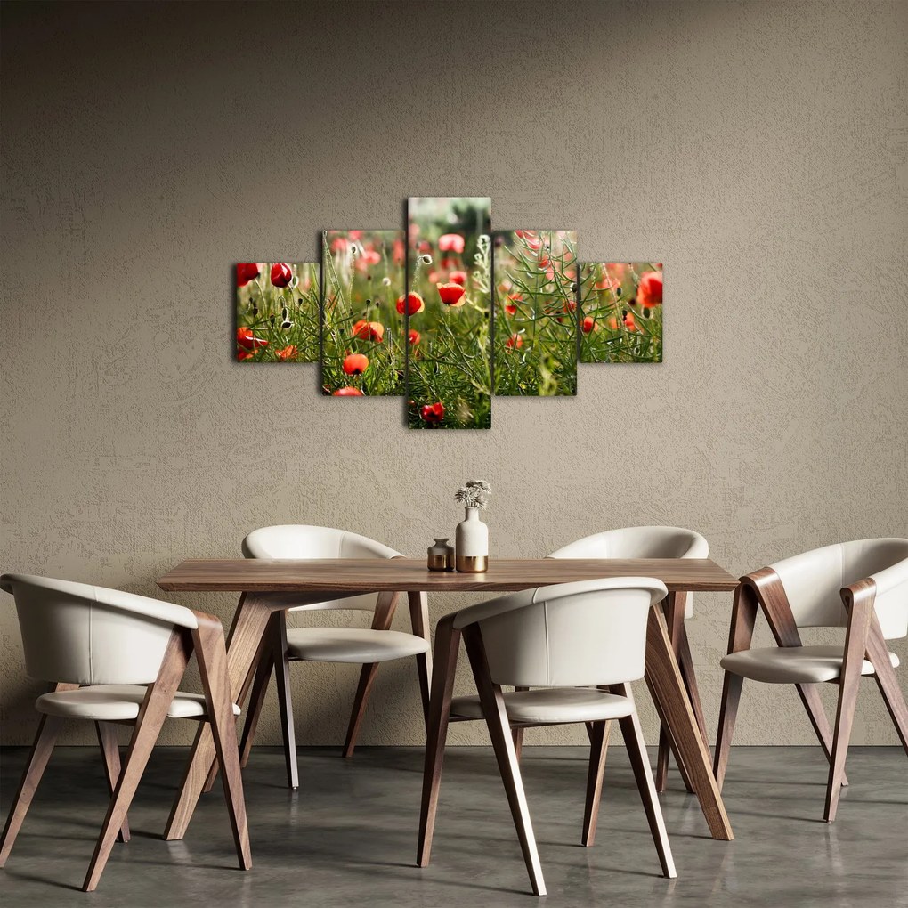 Obraz maków (125x70 cm)