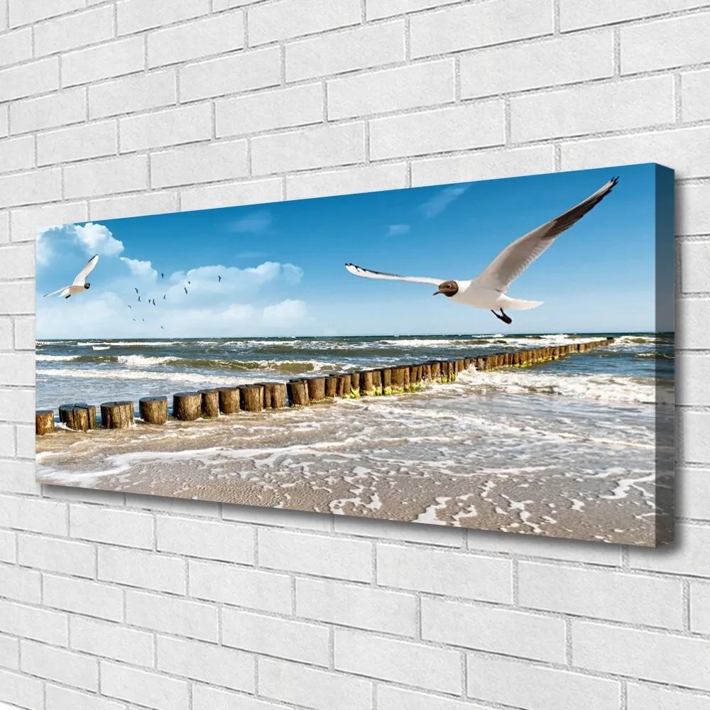 Zdjęcie na płótnie Mewy nad Morskim Brzegiem