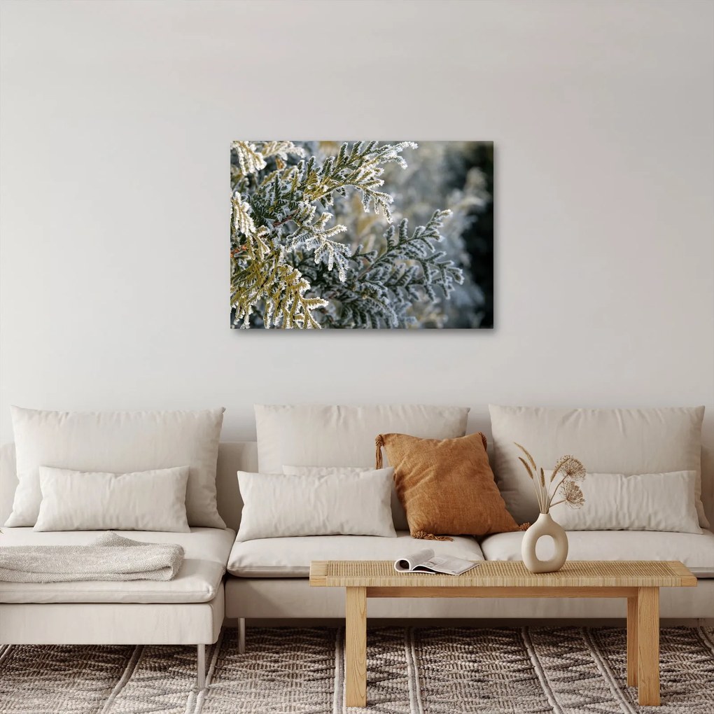 Obraz - Detal gałęzi (70x50 cm)