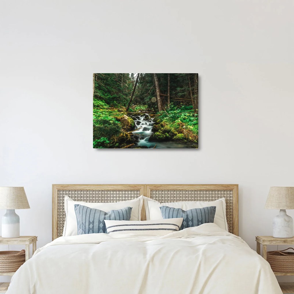 Obraz strumienia w lesie (70x50 cm)