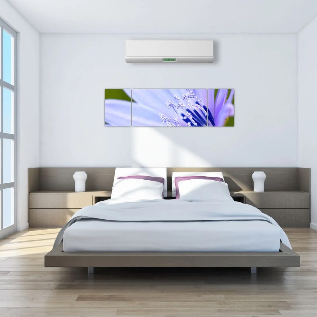 Obraz - Kwiat (170x50 cm)