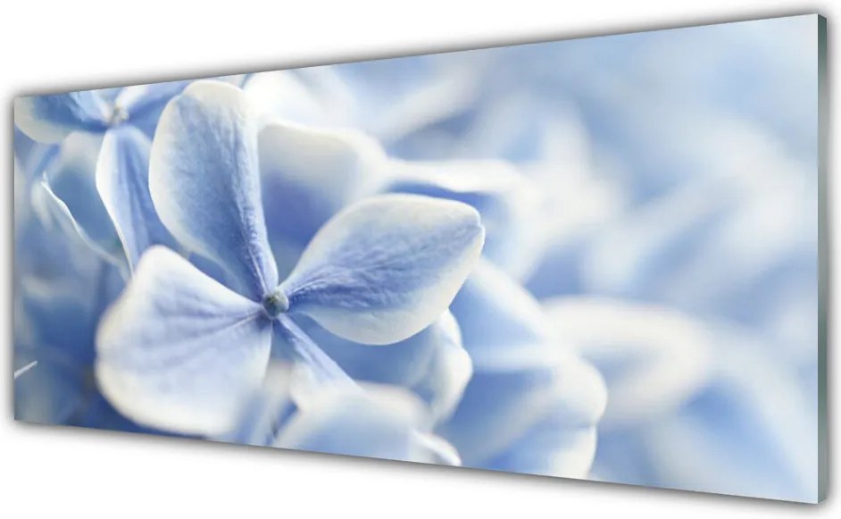 Szkło Dekoracyjne do Kuchni Delikatność Płatków Kwiatowych