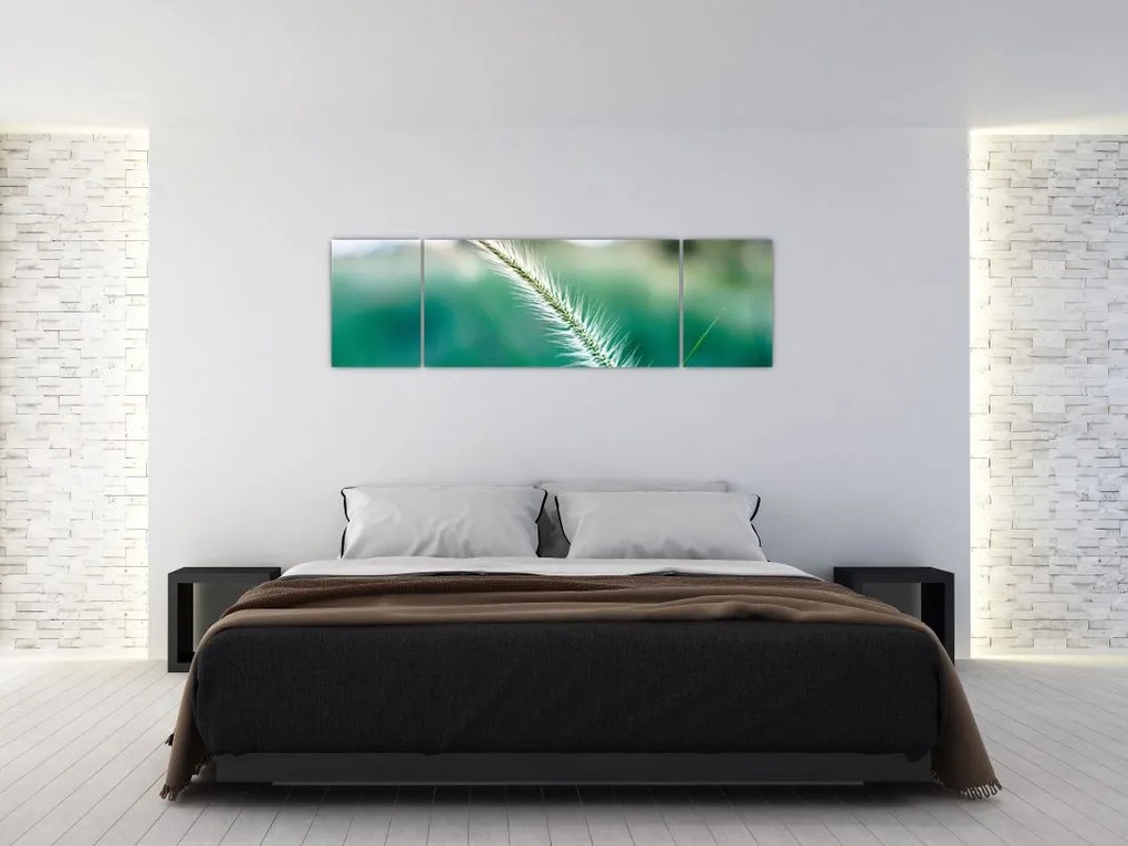 Obraz źdźbła trawy (170x50 cm)