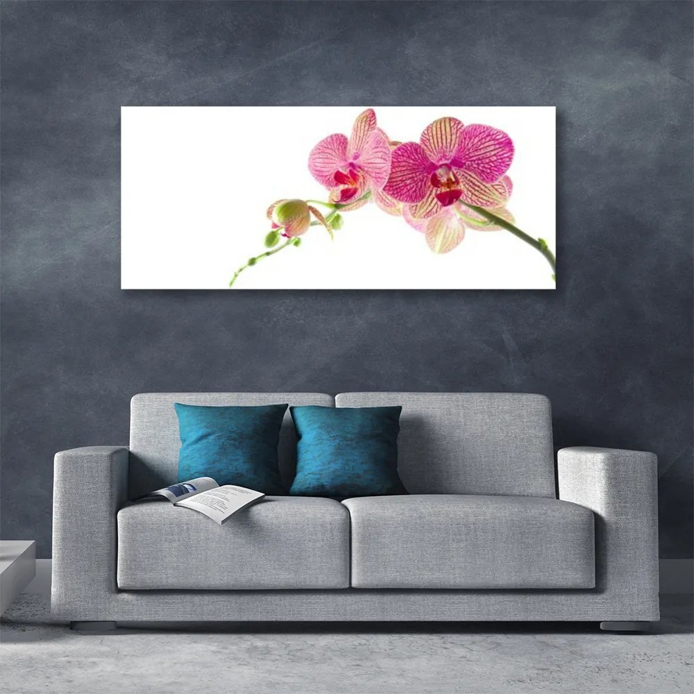 Obraz na płótnie Bukiet Polnych Kwiatów