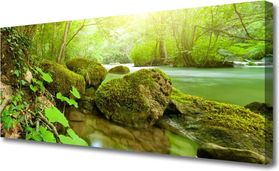 Fotoobraz na płótnie Spokój Płynącej Wody