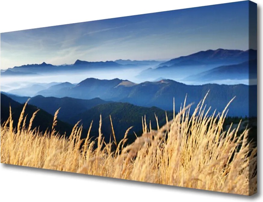 Obraz na płótnie Złociste Łany Zboża