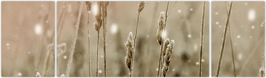 Obraz - Harmonious Meadow (170x50 cm)