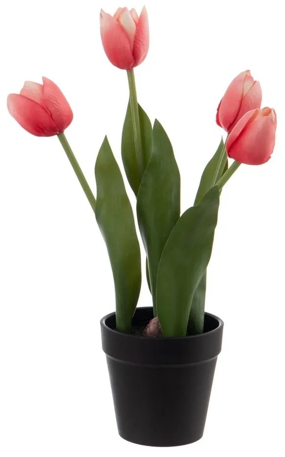 Sztuczny kwiat (wysokość 31 cm) Tulips – Ixia