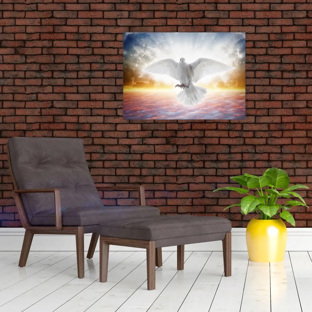 Obraz na szkle gołębicy (70x50 cm)