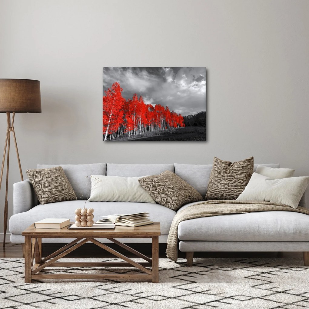 Obraz - Drzewa w kolorze jesieni (70x50 cm)