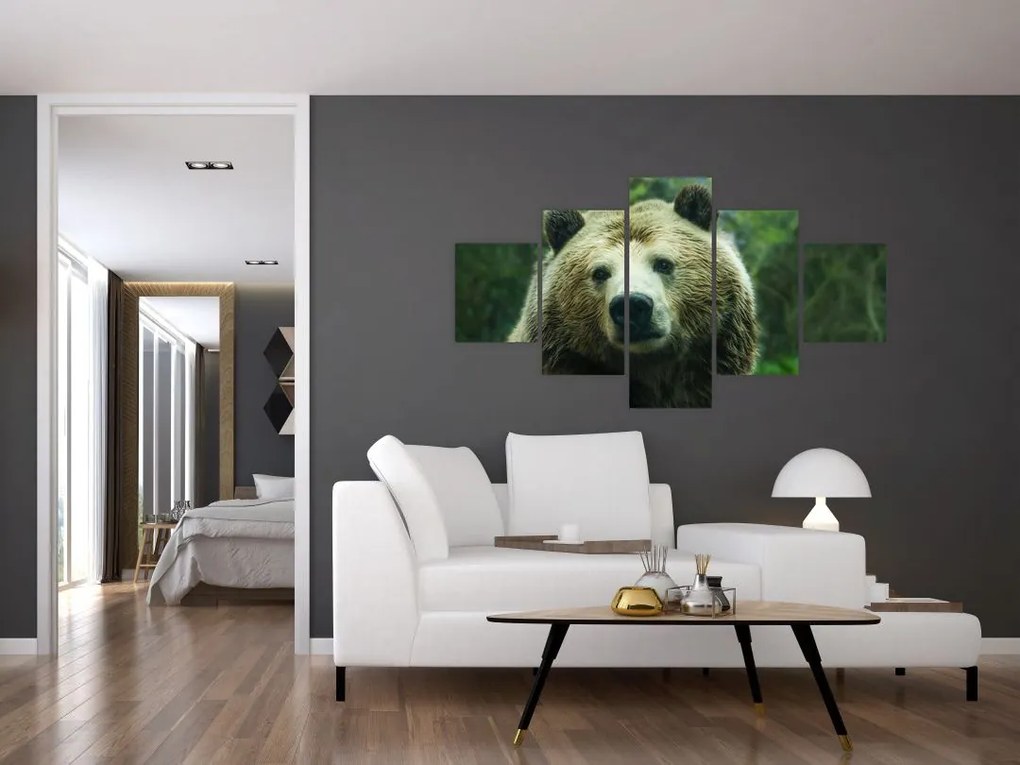 Obraz niedźwiedzia (125x70 cm)