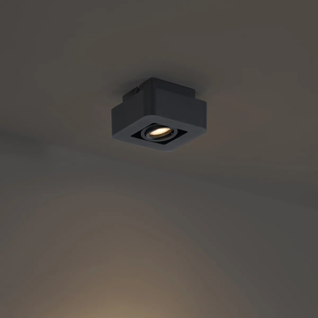 Zaokrąglony reflektor natynkowy czarny, obrotowy i przechylany - Dox