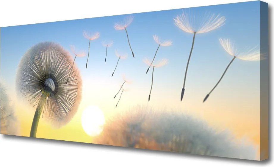 Obraz canvas Puszyste Parasolki Dmuchawca