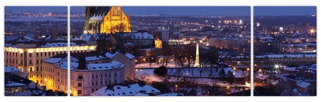 Obraz - Katedra św. Piotra i Pawła, Brno, Czechy (170x50 cm)