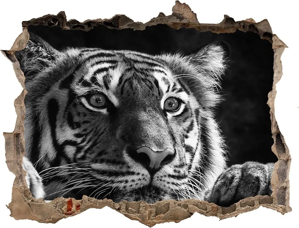 Dziura 3d fototapeta naklejka Tygrys