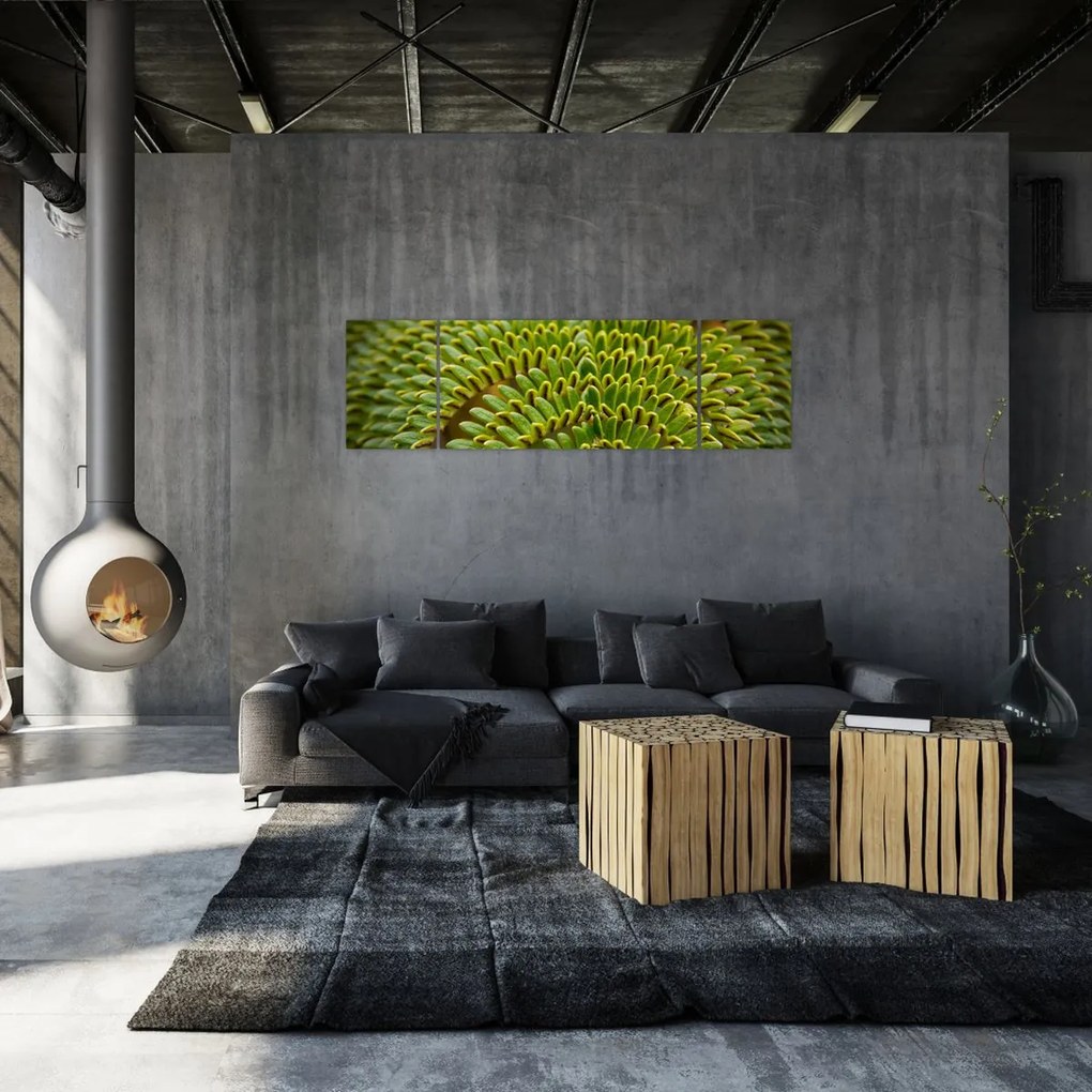 Obraz - Paproć (170x50 cm)
