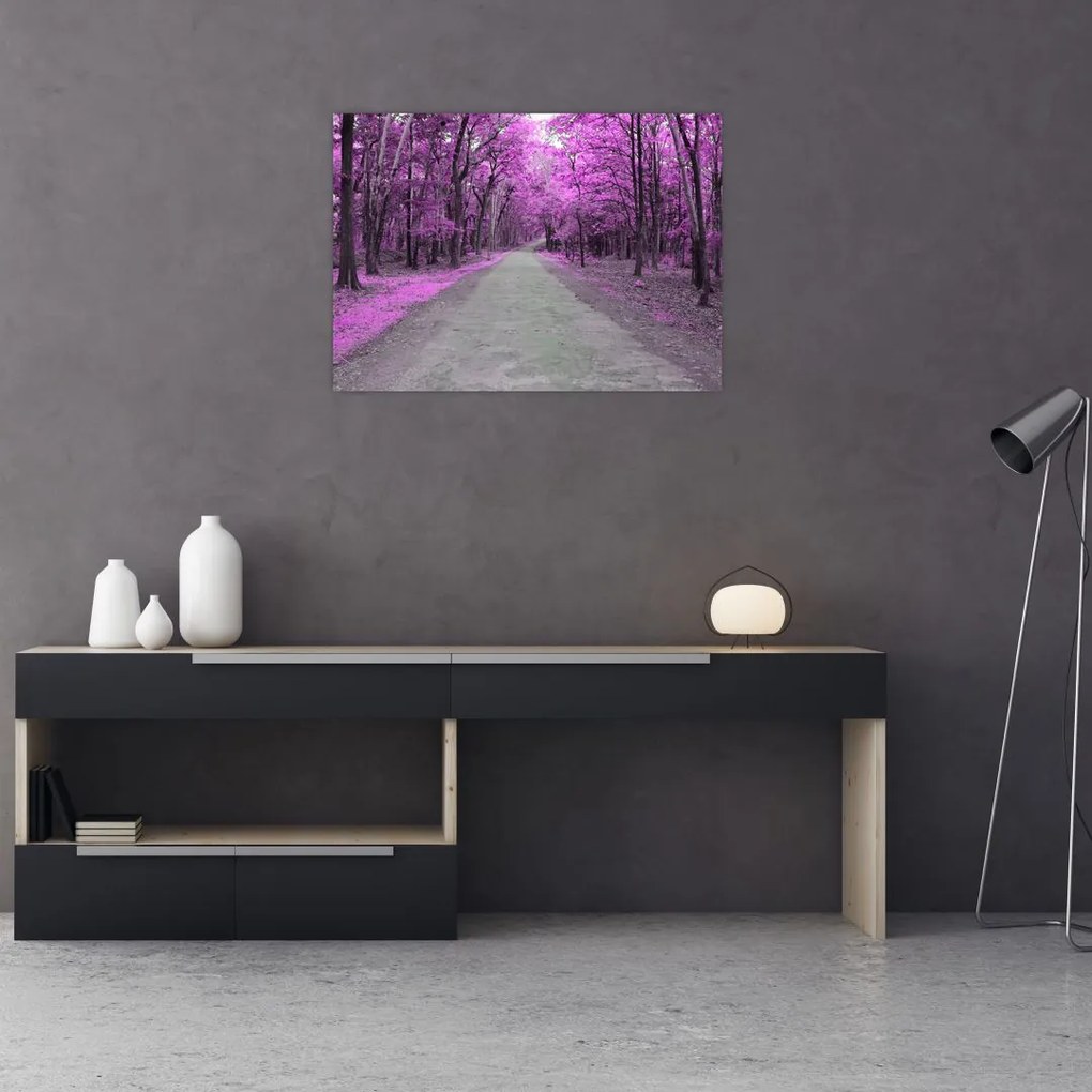 Obraz - Ścieżka przez park (70x50 cm)