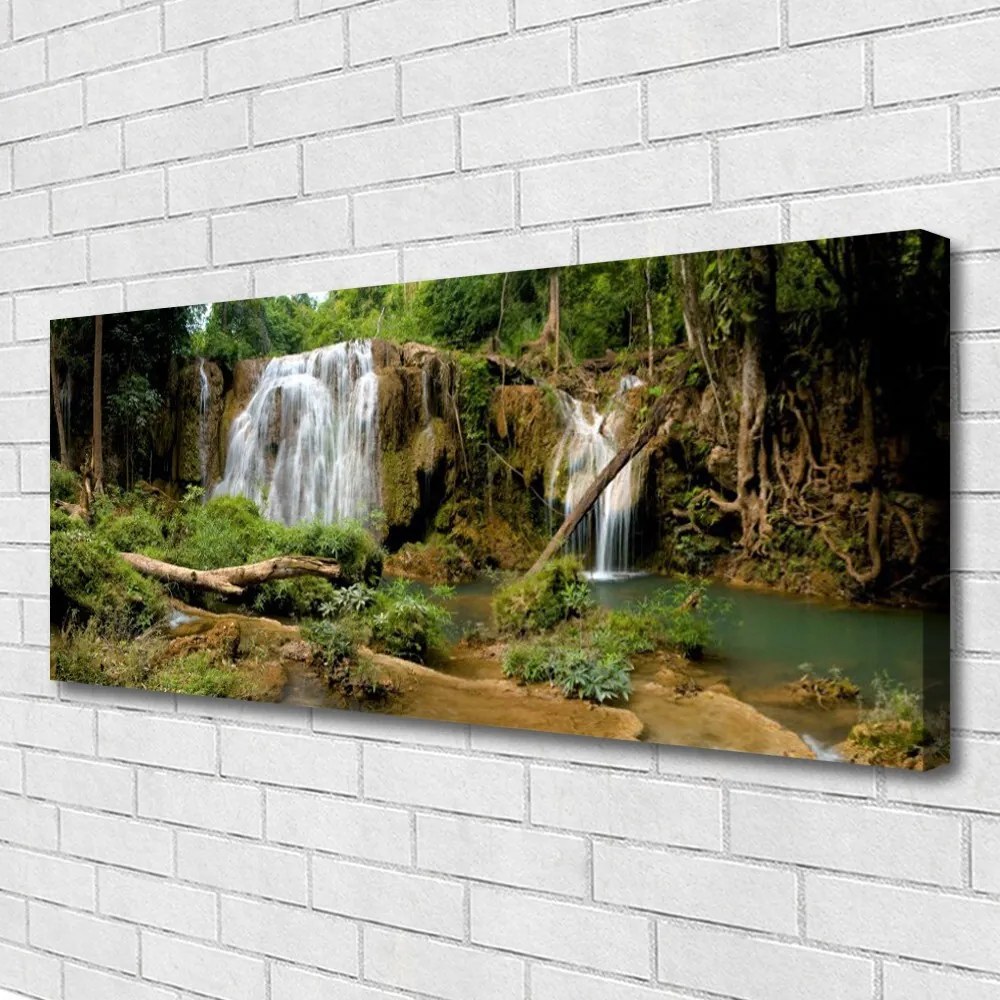 Obraz na płótnie Leśna Kaskada Wodna