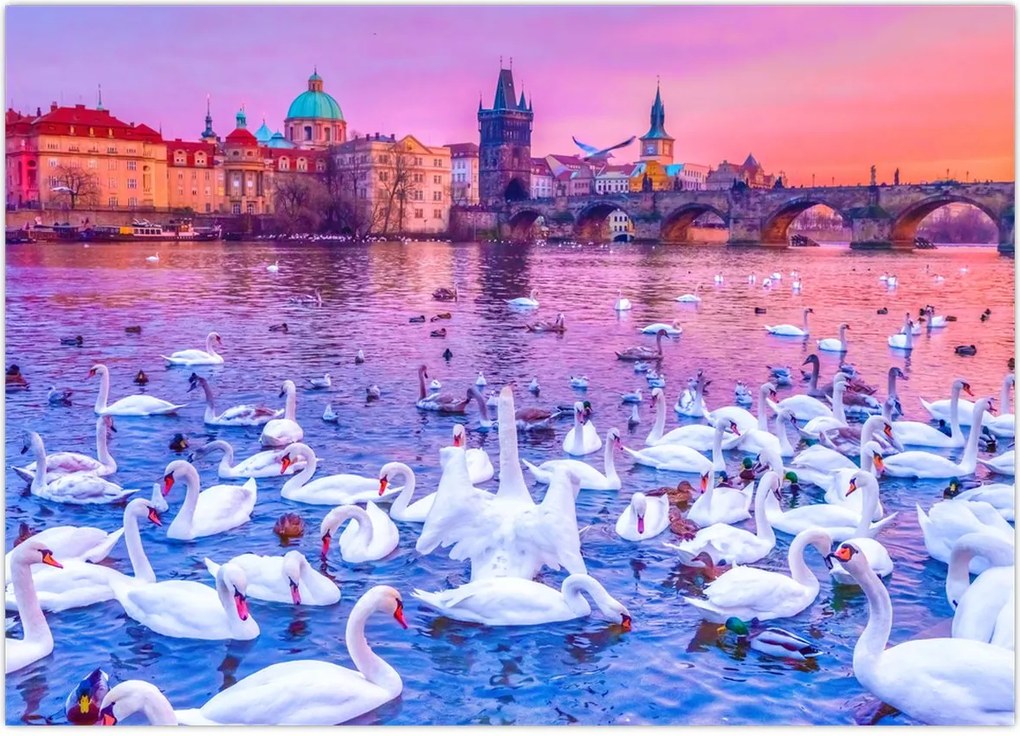 Obraz - Praga (70x50 cm)