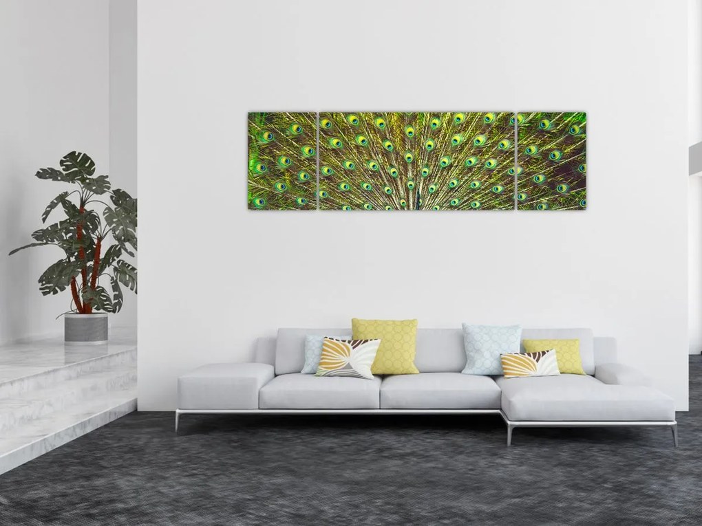 Obraz - Paw (170x50 cm)