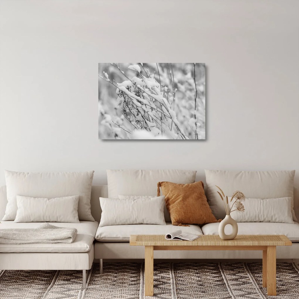 Obraz na szkle - Ośnieżone gałęzie (70x50 cm)