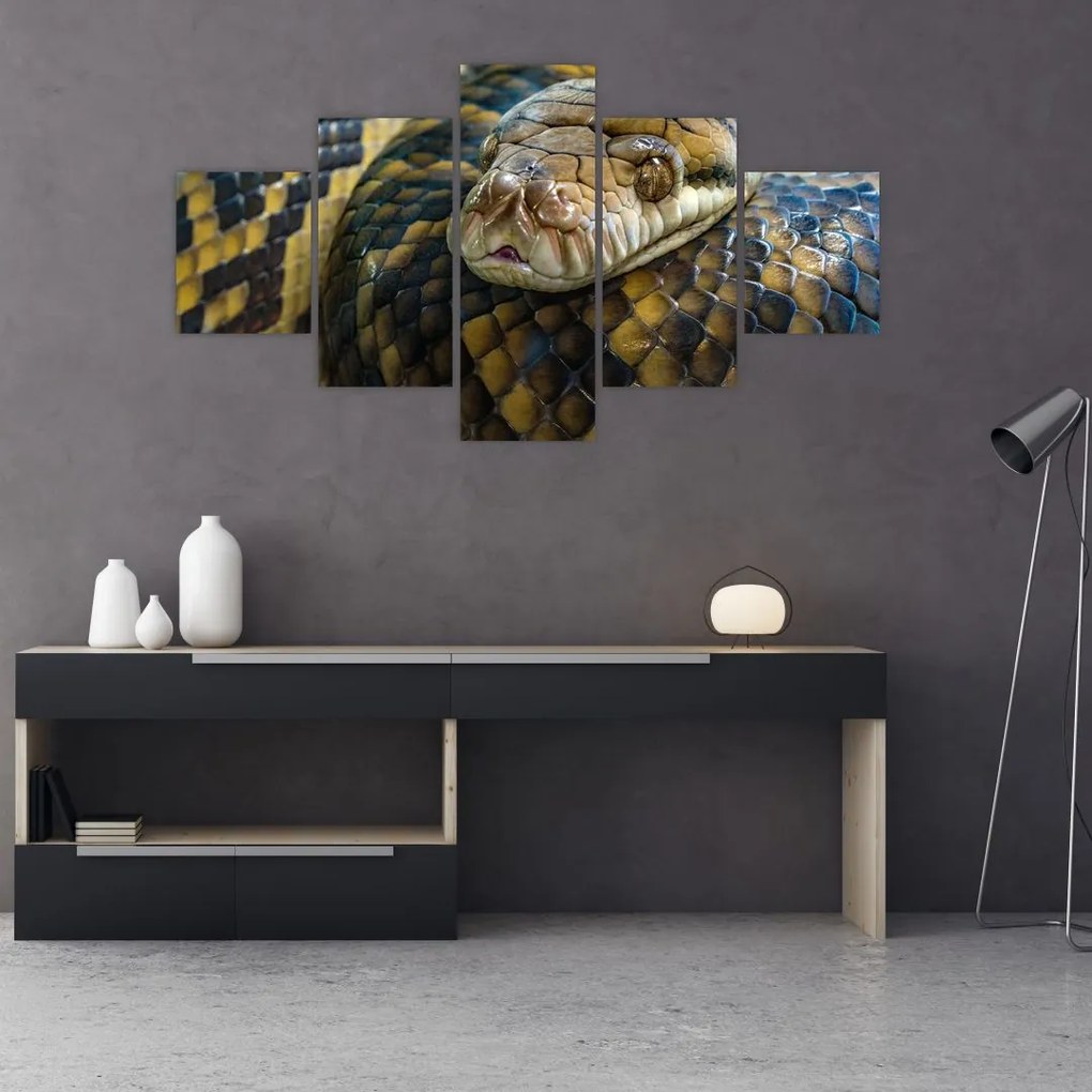 Obraz - Pyton (125x70 cm)