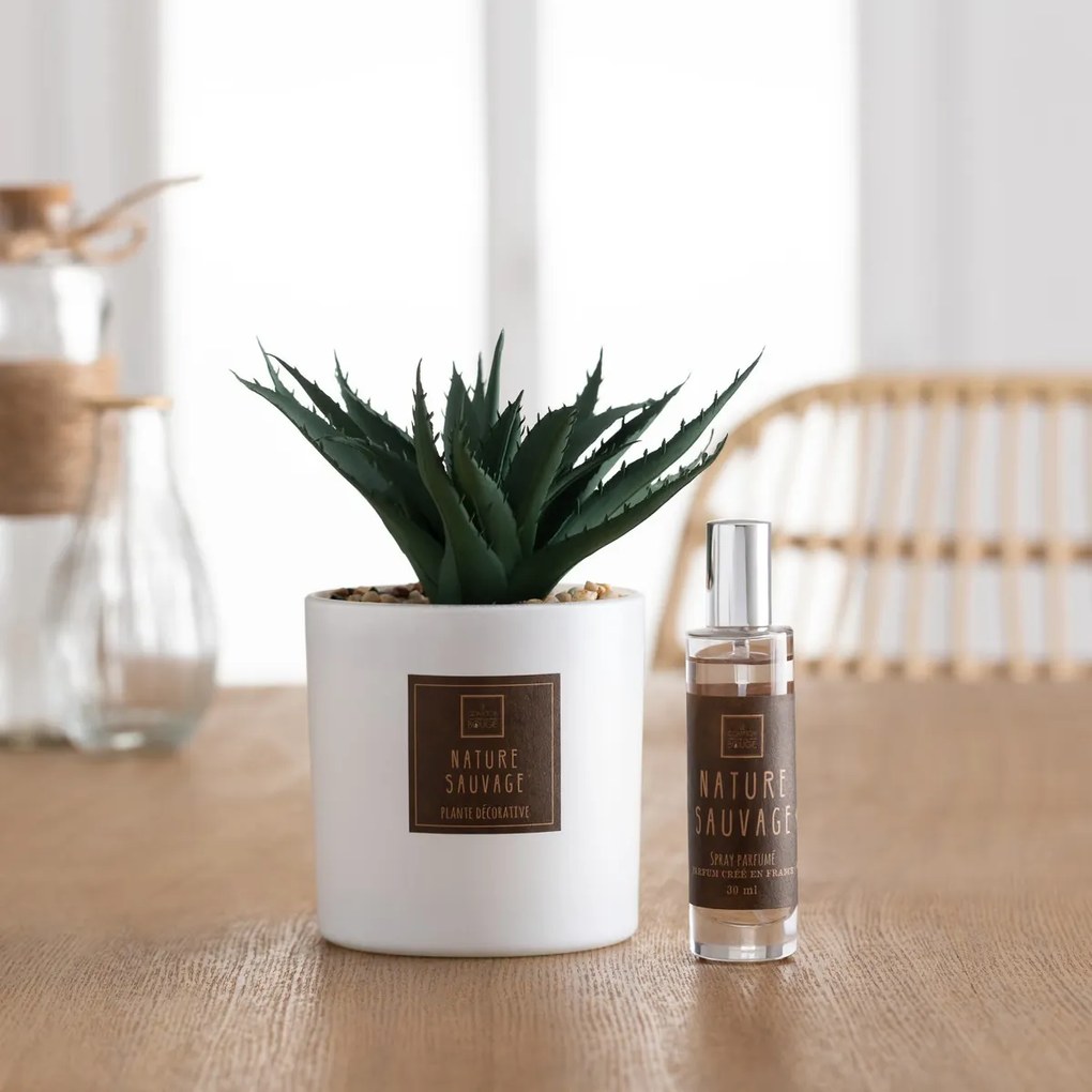 Sztuczna roślina z olejkiem zapachowym PUNCHY CACTUS