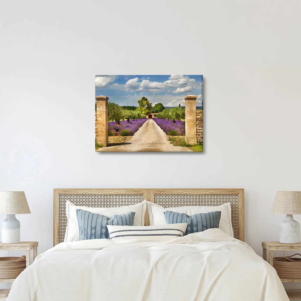 Obraz - Lawendowe ścieżki (70x50 cm)